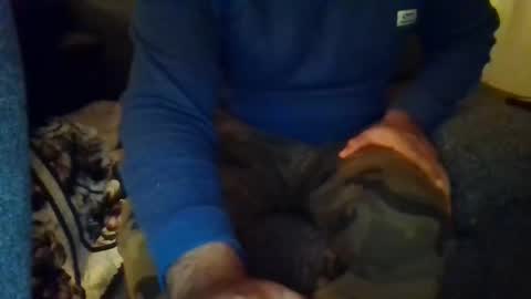 DesiGuy online show from 12/08/24, 08:47