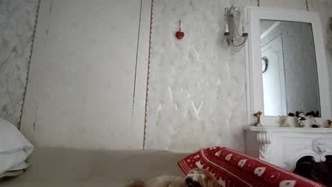 Anna online show from 12/04/25, 06:23