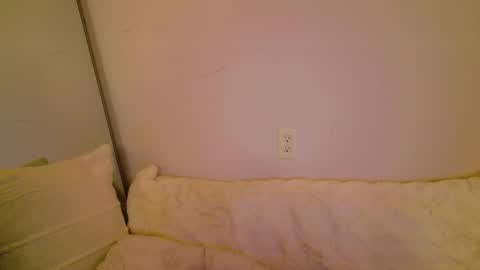 meow online show from 11/08/25, 05:29