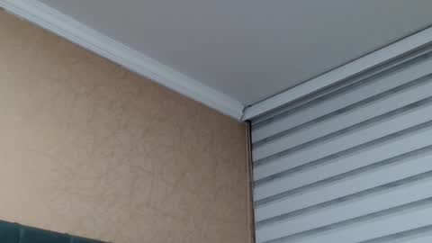       online show from 01/15/26, 01:54