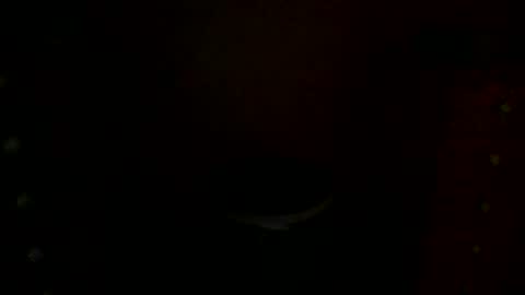 annecharlie online show from 11/30/25, 07:56