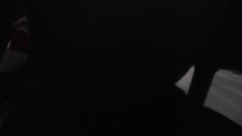 LoyalDog online show from 02/16/26, 07:59