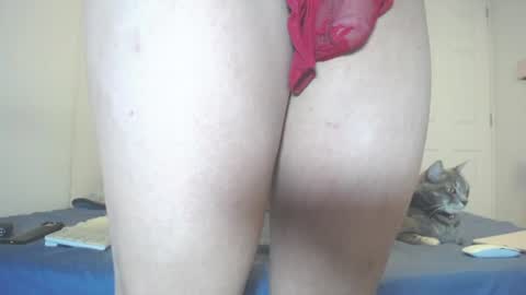 Snapshot of anny_bunny1 chatting on 07/11/26, 06:43 INDEPENDENT MODEL next srteam 240624 online show from 07/11/26, 06:43