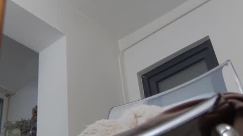 Snapshot of annyarose chatting on 12/02/24, 11:45 Anna online show from 12/02/24, 11:45