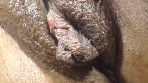 Anny online show from 12/21/25, 05:53