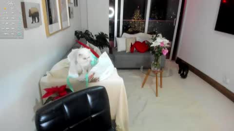 Anny online show from 12/01/25, 01:54