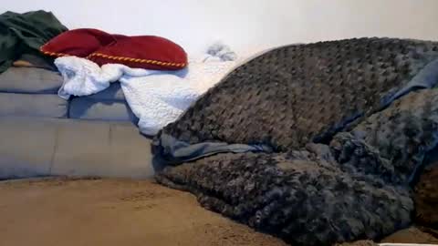 anonymousex15 online show from 11/30/25, 12:42