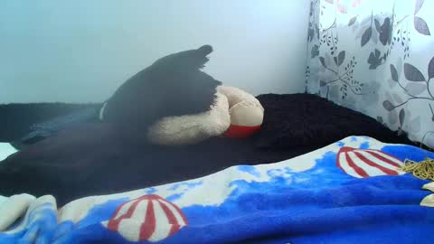 Snapshot of antonella0769 chatting on 02/05/25, 05:09 ANTONELLA WILLIAM  INDEPENDIENTE online show from 02/05/25, 05:09