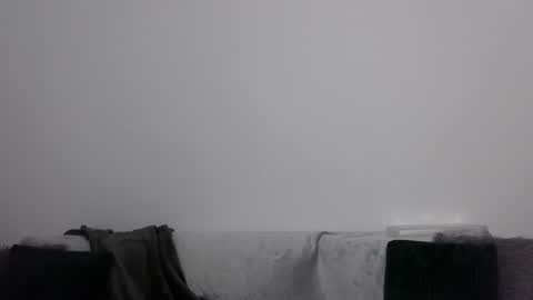 Antonia online show from 01/23/25, 08:02