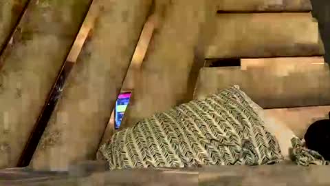 anubis_inpu online show from 11/06/25, 07:53