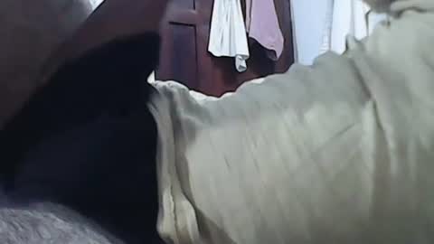 Snapshot of anupam373 chatting on 01/20/25, 02:11 anupam373 online show from 01/20/25, 02:11