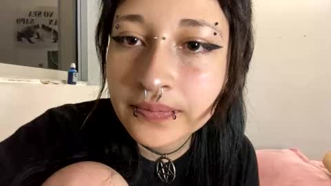 Snapshot of aoi_dandelion chatting on 12/29/24, 12:52 aoi_dandelion online show from 12/29/24, 12:52