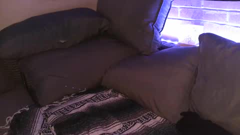 Shy Happy Pair online show from 09/25/25, 07:56