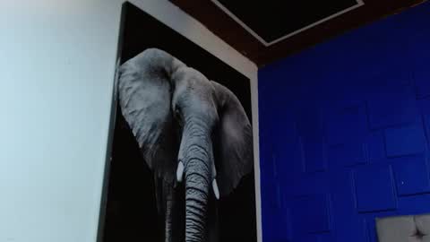 Apolo online show from 02/11/25, 08:48