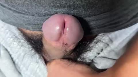 Snapshot of apple2761 chatting on 11/28/25, 04:15 apple2761 online show from 11/28/25, 04:15