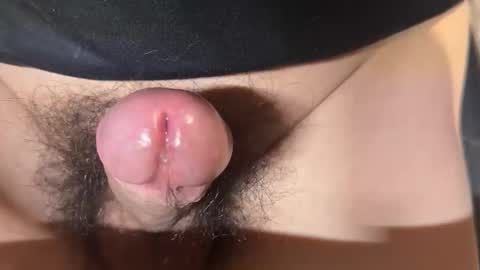 Snapshot of apple2761 chatting on 04/01/26, 01:41 apple2761 online show from 04/01/26, 01:41