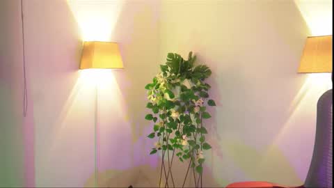 insta appolo master online show from 11/26/25, 04:02