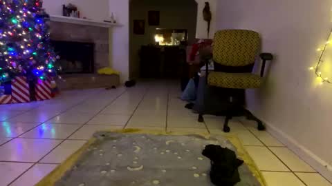 AnnaApril420 online show from 12/25/24, 01:10