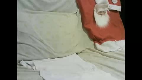 arabtrans2025 online show from 01/17/25, 07:27