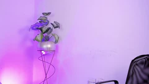   online show from 01/19/25, 08:29