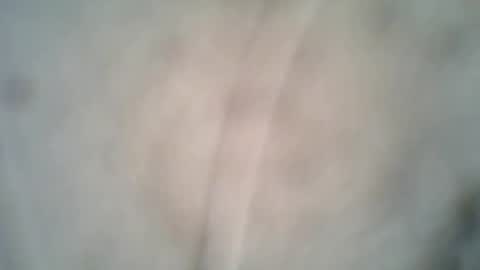 Snapshot of archkeinzas chatting on 10/08/25, 06:38 olo online show from 10/08/25, 06:38