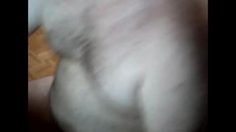 Snapshot of ardnov chatting on 11/05/25, 05:46 ardnov online show from 11/05/25, 05:46