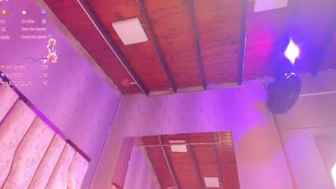 ARI  online show from 02/13/25, 05:54