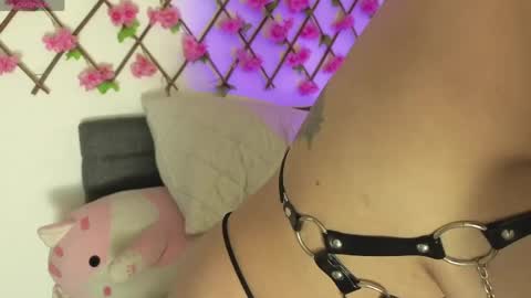 aria_silk online show from 04/20/26, 06:31