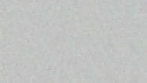 Arianna Collins online show from 03/31/26, 11:21