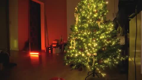 Olivka online show from 12/30/24, 05:48