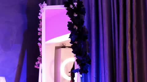 Ariell online show from 11/19/25, 06:41