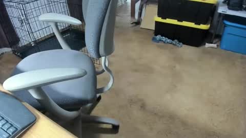 armalite16 online show from 01/16/26, 05:11