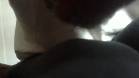 Arteblazze not daddy boy bitch or nigga online show from 02/09/26, 05:06