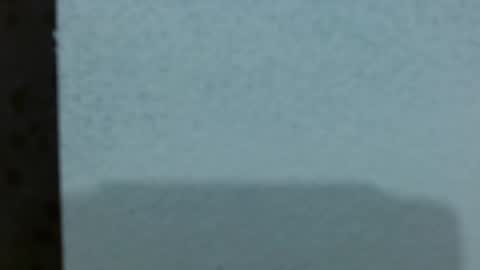  Ashley online show from 03/06/26, 03:25