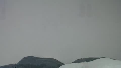 Anite         online show from 12/06/24, 02:02