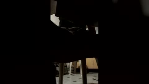 ashutoshkhanna online show from 02/15/26, 07:32