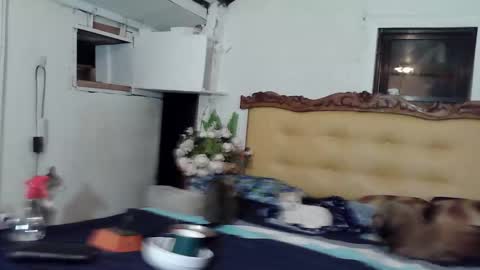 asianladyboy888 online show from 02/22/26, 04:05