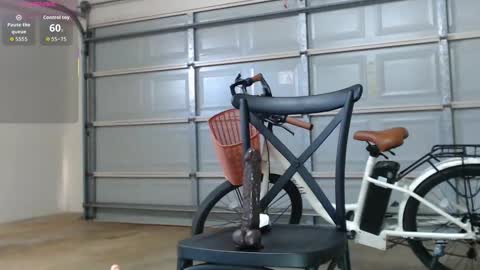 Anne online show from 12/15/25, 03:55