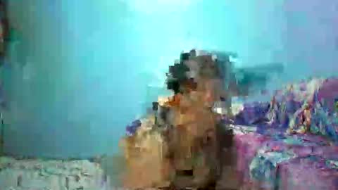 ann online show from 04/26/26, 04:26