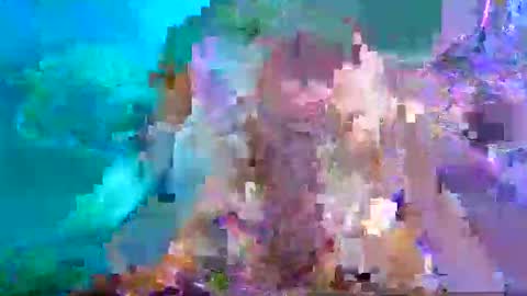 Aspy online show from 01/26/25, 10:46