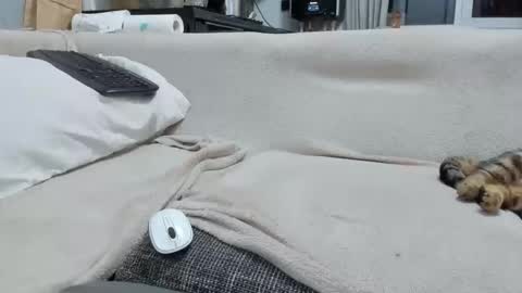 MARCO online show from 12/02/25, 04:57