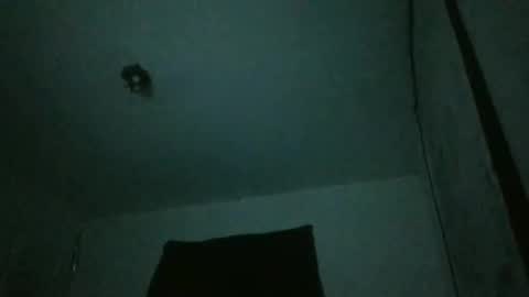 danni travis online show from 02/23/25, 07:44