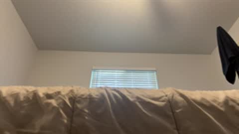 Snapshot of assilem277 chatting on 06/01/26, 07:48 danni travis online show from 06/01/26, 07:48