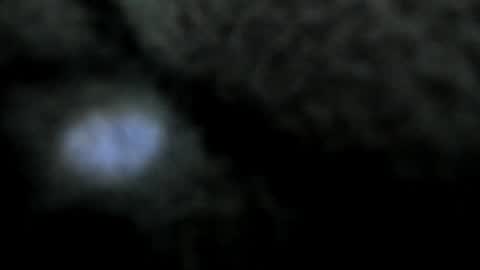 Atilana Diaz online show from 12/30/24, 08:36