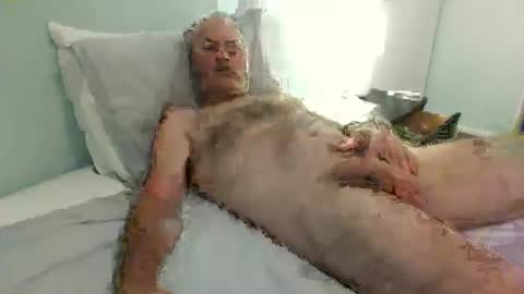 auckland26 online show from 12/02/25, 09:47