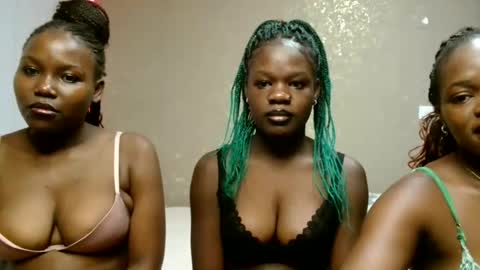 Auleria online show from 06/08/26, 07:03