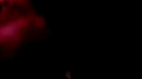 Monii Yi online show from 02/20/26, 06:26