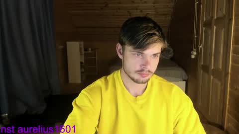 Snapshot of aurelius_x1 chatting on 09/15/25, 06:41 Maks online show from 09/15/25, 06:41