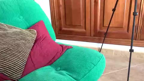 Snapshot of aurerex chatting on 11/07/25, 11:54 aurerex online show from 11/07/25, 11:54