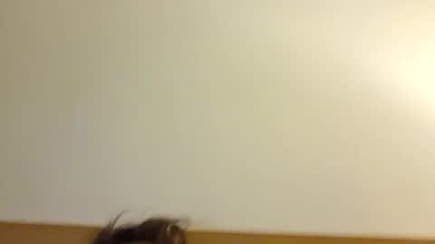 aussie_dadbod6969 online show from 05/03/26, 01:44